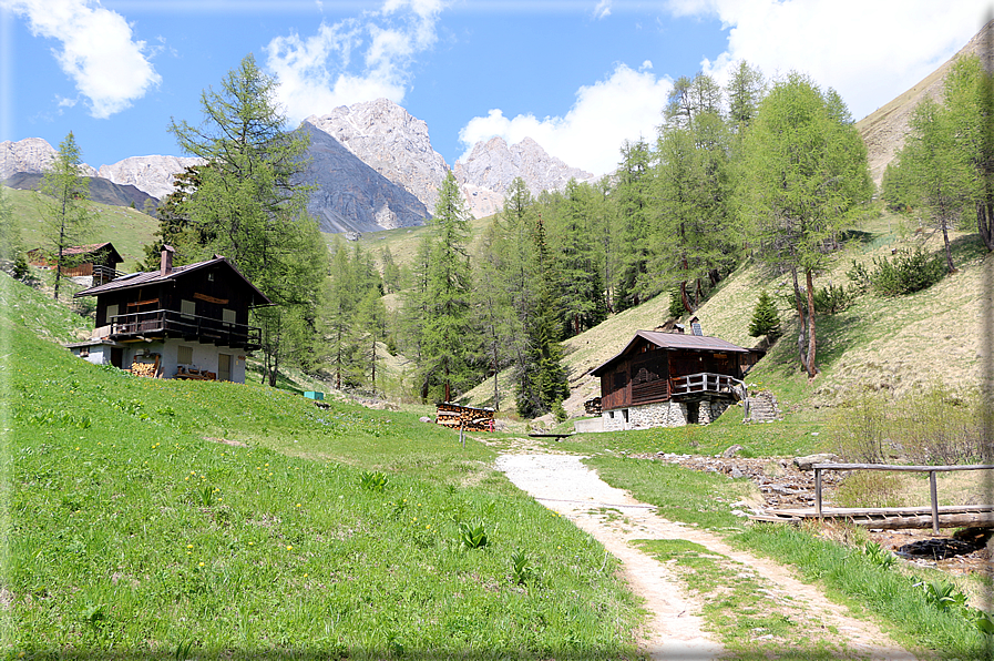 foto Forca Rossa e Passo San Pellegrino